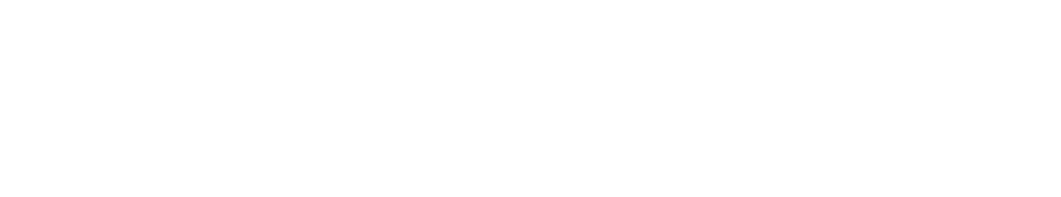 CARGO GROUP SLOVAKIA
